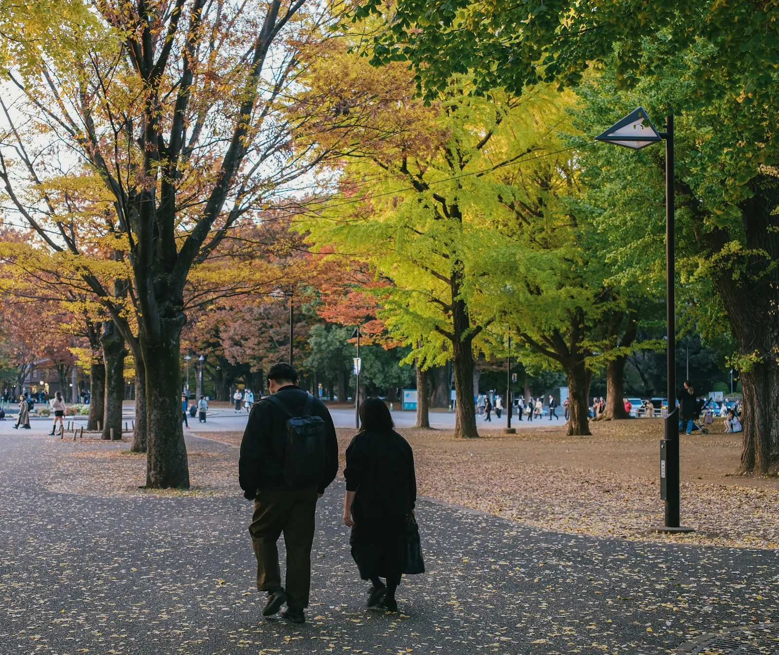 Two people walking side by side down a park path under autumn trees.