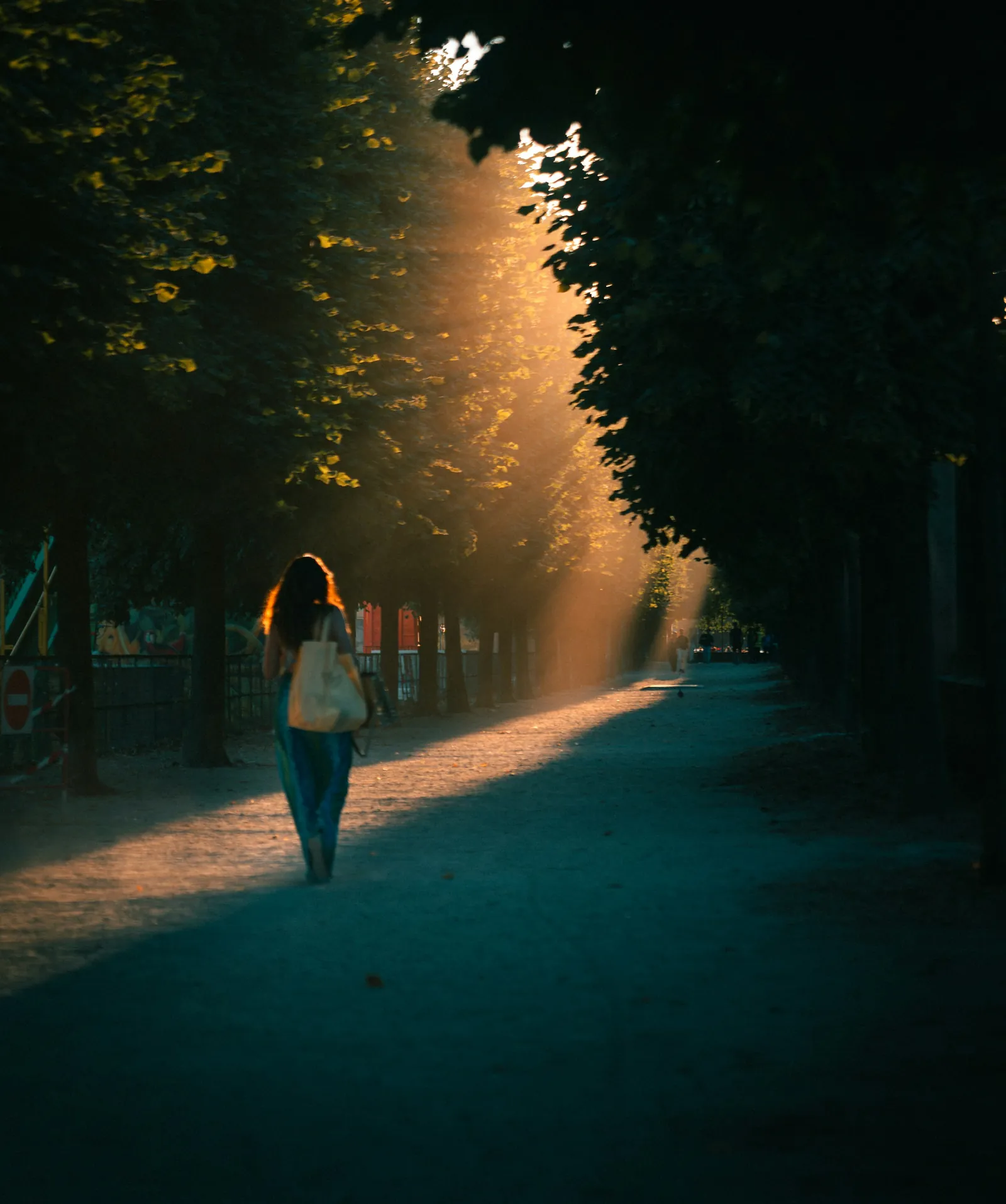 A person walking along a tree-lined path through shafts of sunlight.
