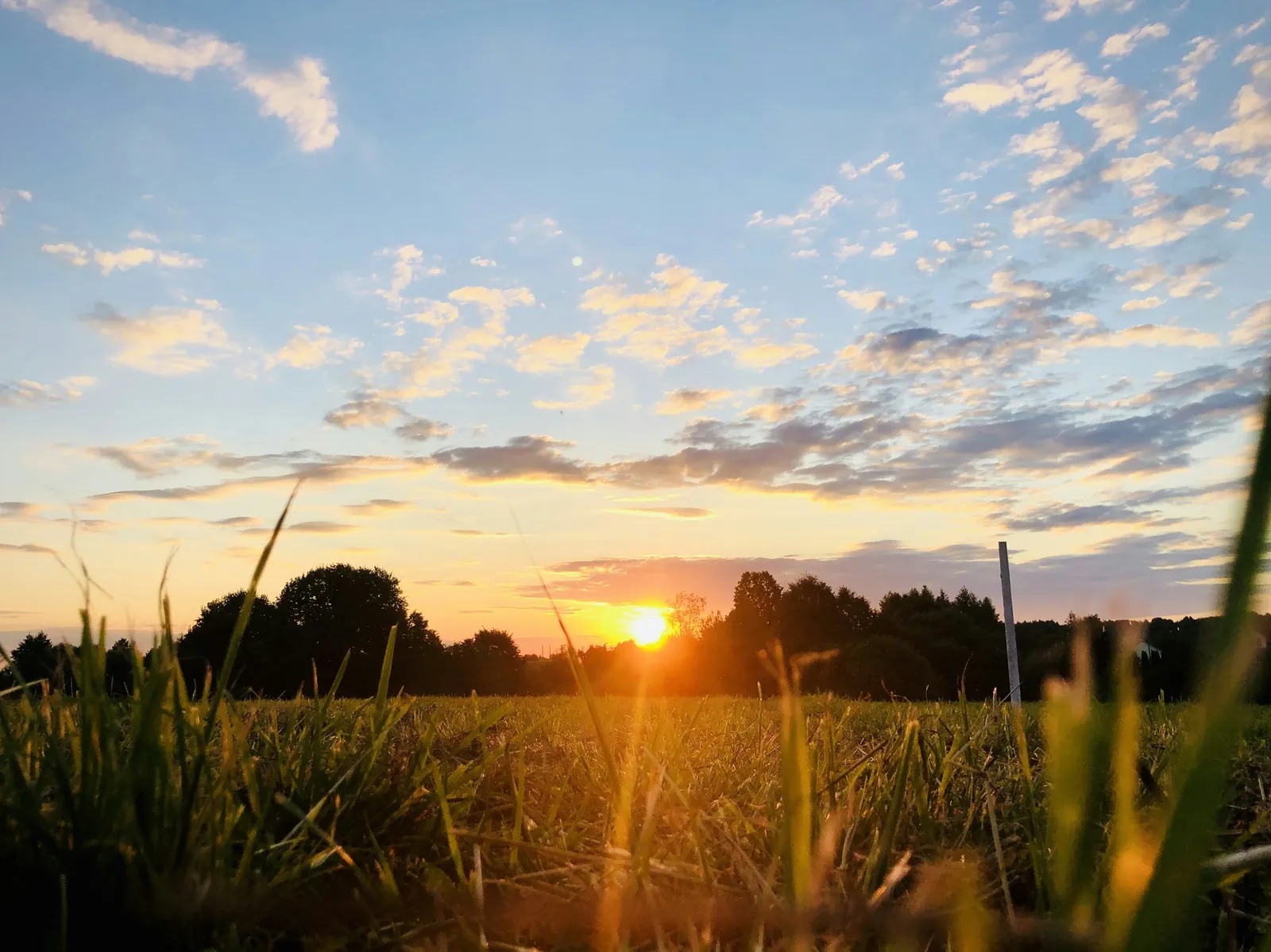 The sun low over a grassy field under a sky of scattered clouds.