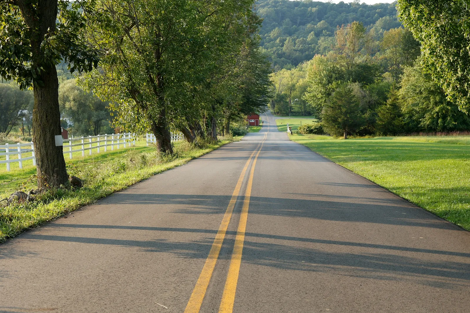 A quiet two-lane road running between tall green trees.