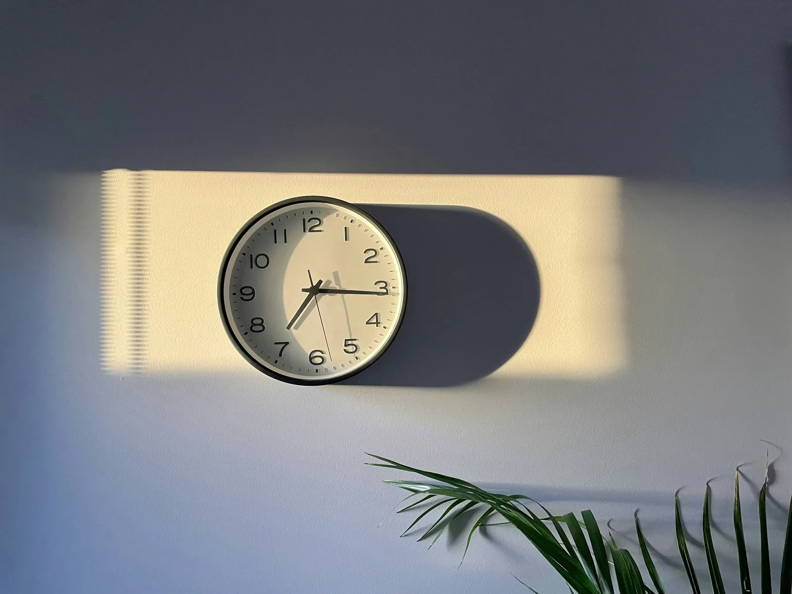 A wall clock caught in a band of warm afternoon light, a plant below it.